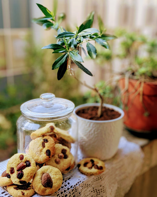 Nei dolci, si può sostituire il burro con l’olio?